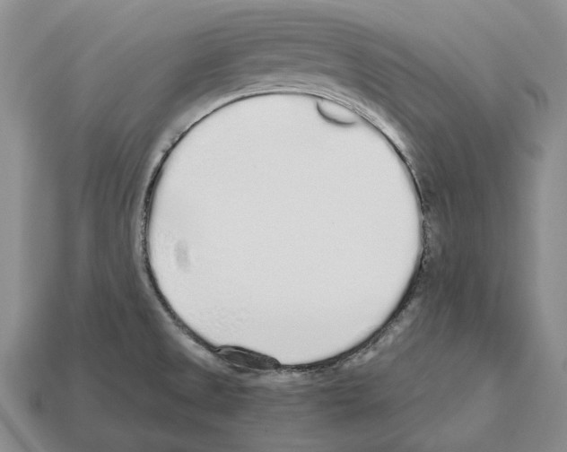 X0000112521525200909281006