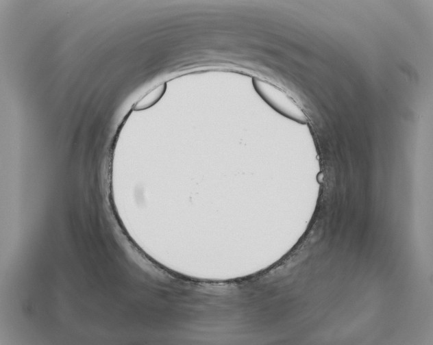 X0000112521526200909281006