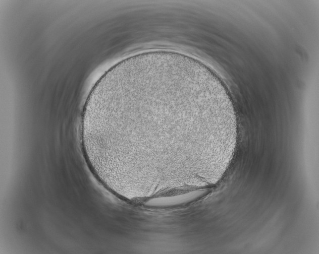 X0000112521527200909281006