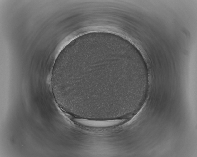 X0000112521529200909281006