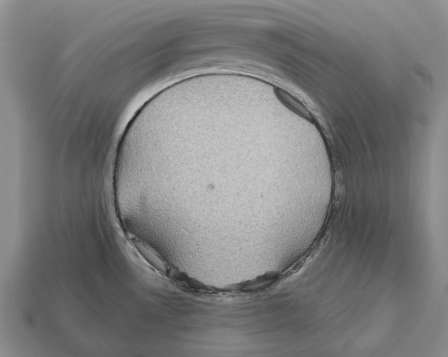 X0000112521530200909281006