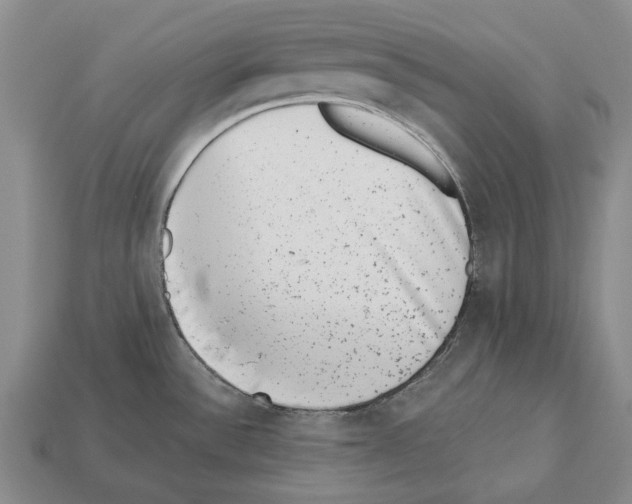 X0000112521532200909281006