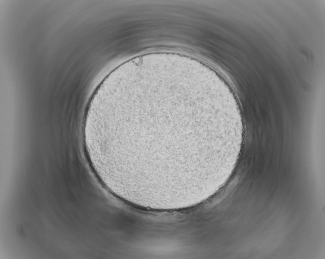 X0000112521533200909281006
