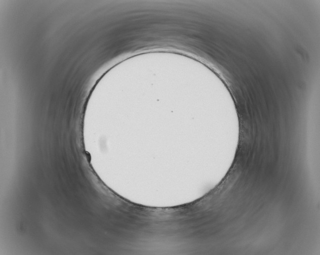 X0000112521534200909281006