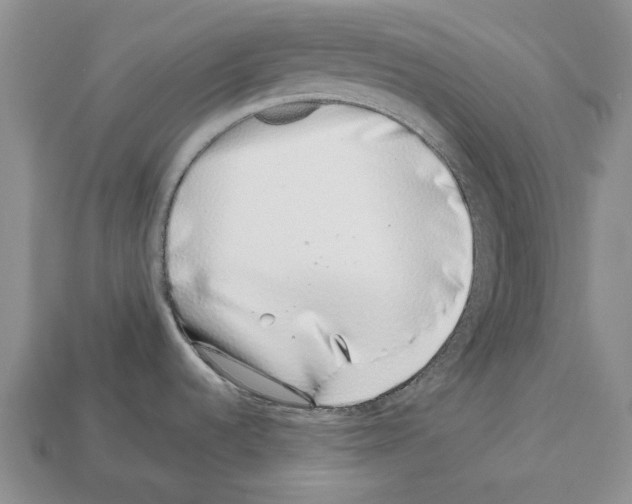 X0000112521536200909281006