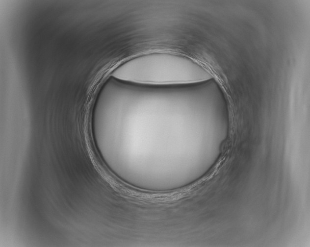 X0000112530001200908171154