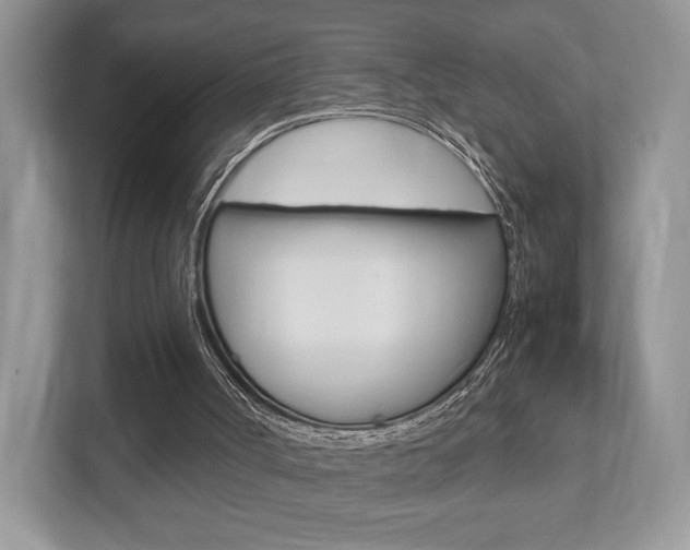 X0000112530002200908171154
