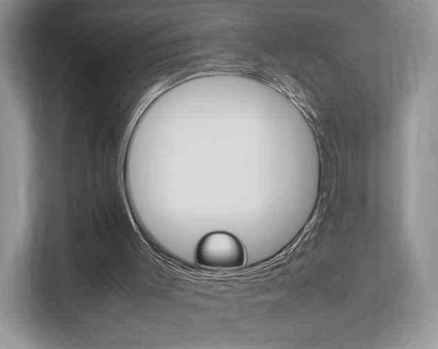 X0000112530003200908171154