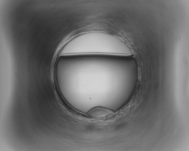 X0000112530004200908171154