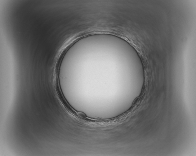 X0000112530005200908171154