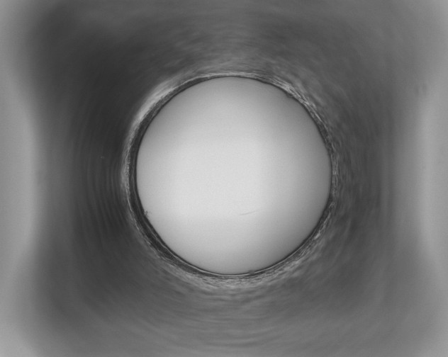 X0000112530006200908171154
