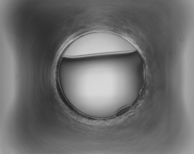 X0000112530007200908171154