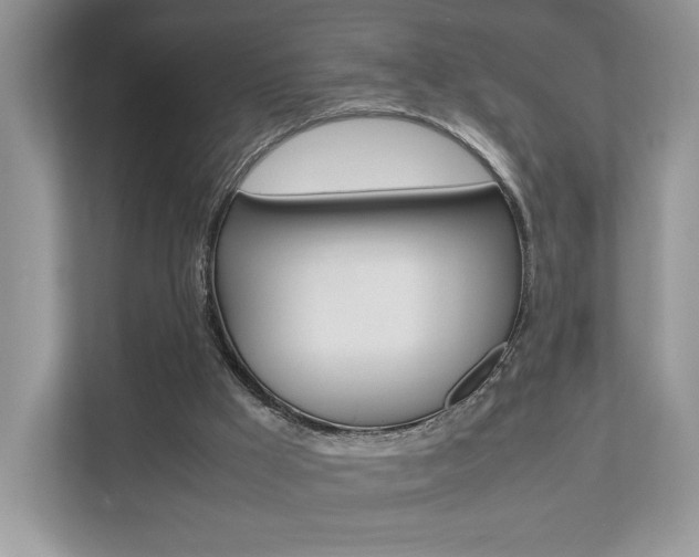 X0000112530009200908171154