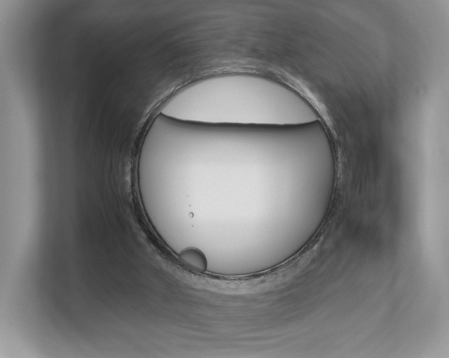 X0000112530010200908171154