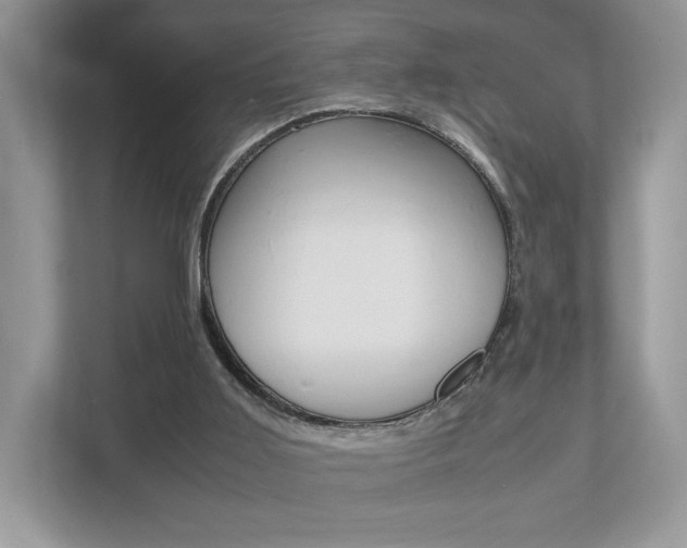 X0000112530011200908171154