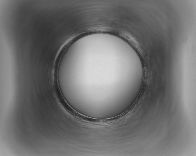 X0000112530012200908171154