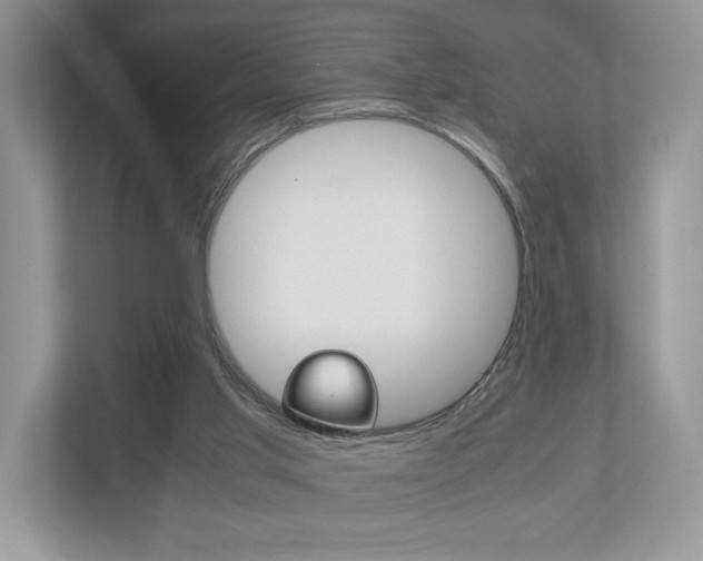 X0000112530013200908171154