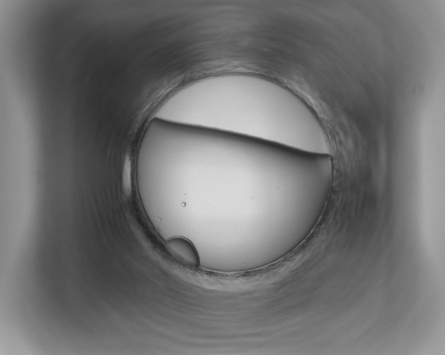 X0000112530014200908171154