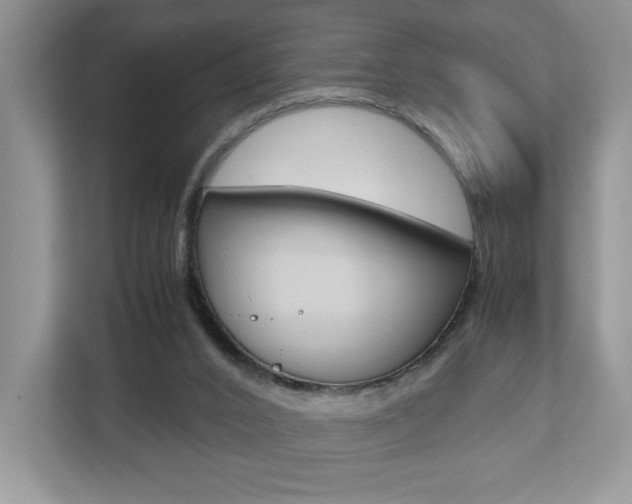 X0000112530016200908171154