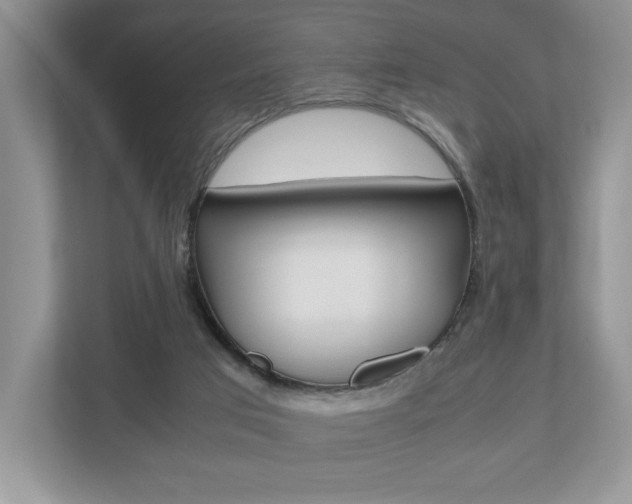 X0000112530017200908171154