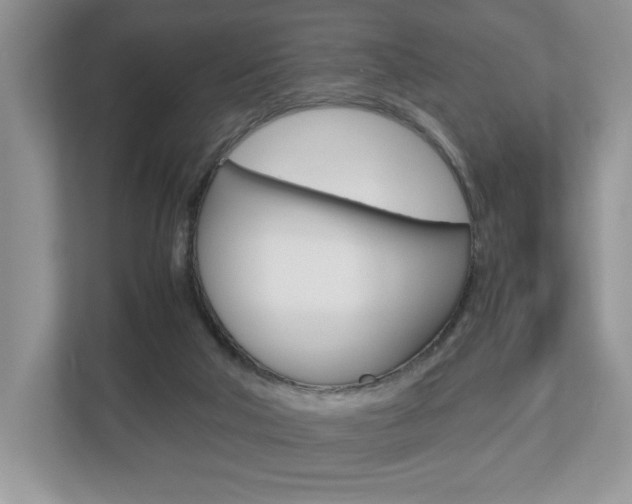 X0000112530018200908171154