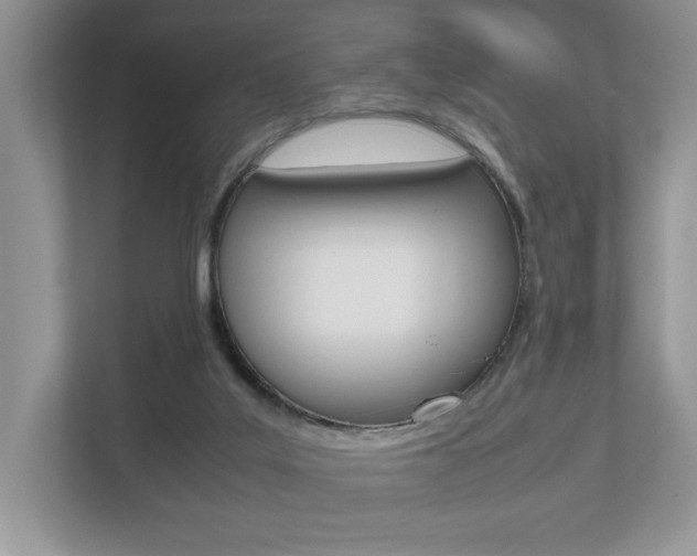 X0000112530019200908171154