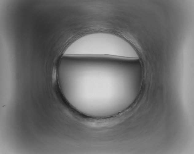 X0000112530021200908171154