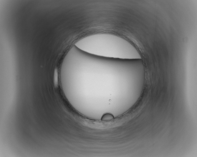 X0000112530022200908171154