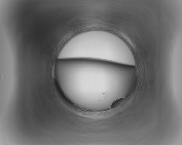 X0000112530023200908171154