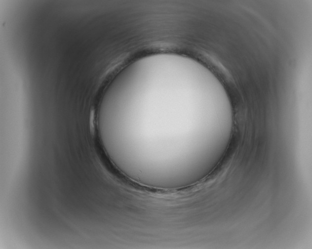 X0000112530024200908171154