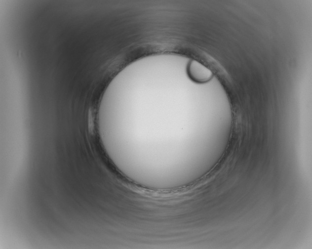 X0000112530026200908171154