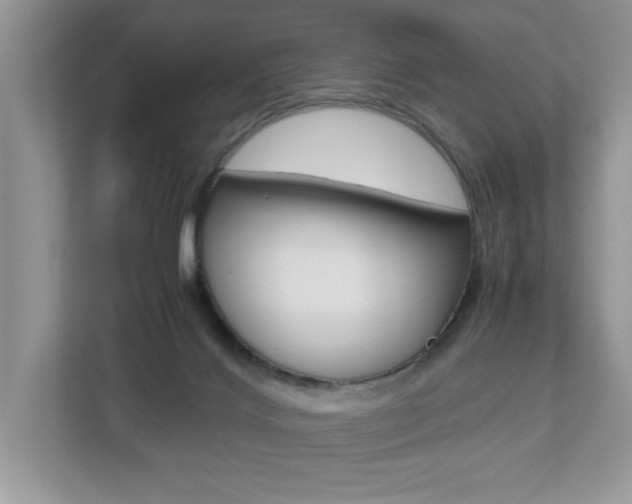 X0000112530028200908171154