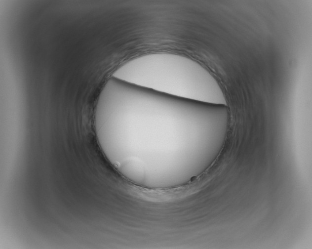 X0000112530030200908171154