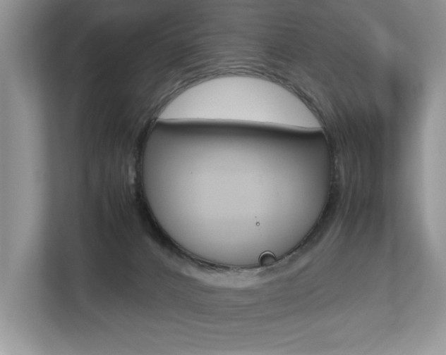 X0000112530032200908171154