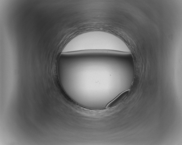 X0000112530035200908171154