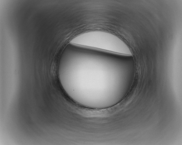 X0000112530036200908171154