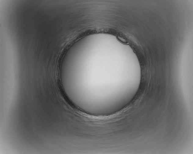X0000112530039200908171154