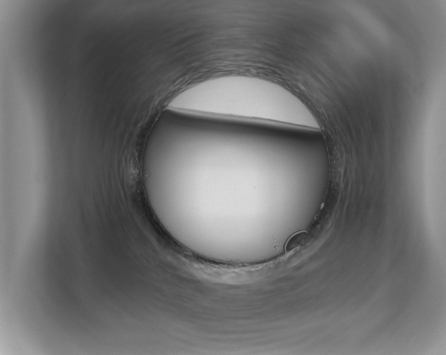 X0000112530040200908171154