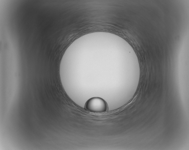 X0000112530041200908171154