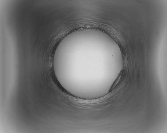 X0000112530043200908171154