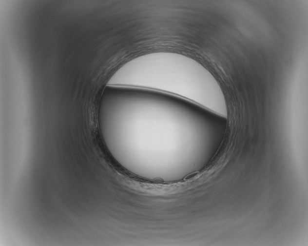 X0000112530044200908171154