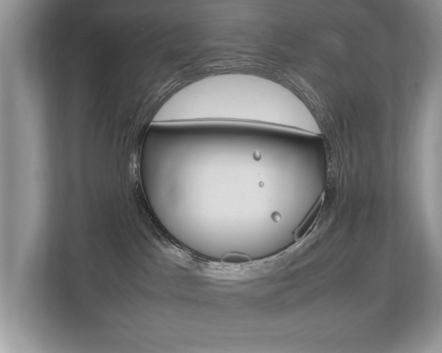 X0000112530045200908171154