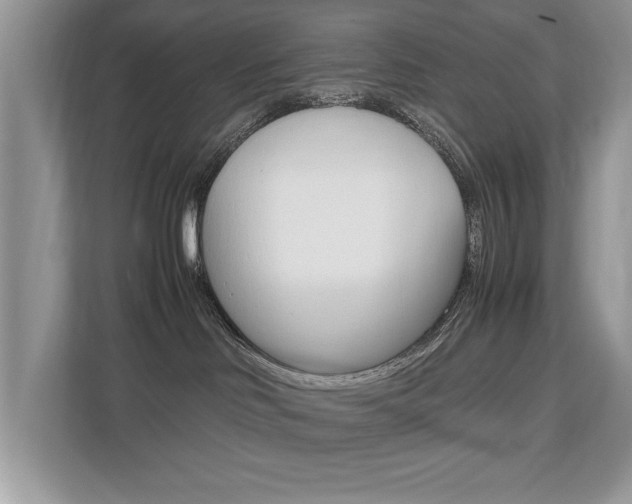X0000112530046200908171154