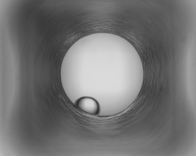 X0000112530047200908171154