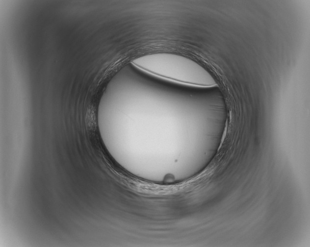 X0000112530048200908171154