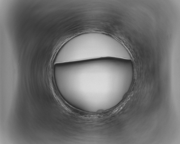 X0000112530049200908171153