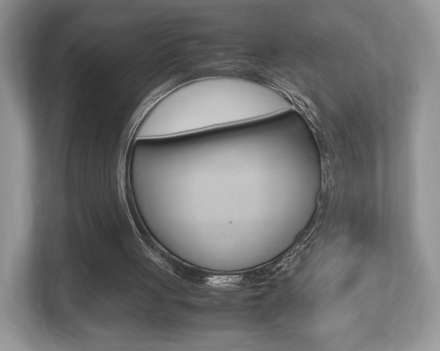 X0000112530051200908171153