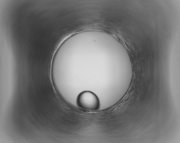 X0000112530052200908171153