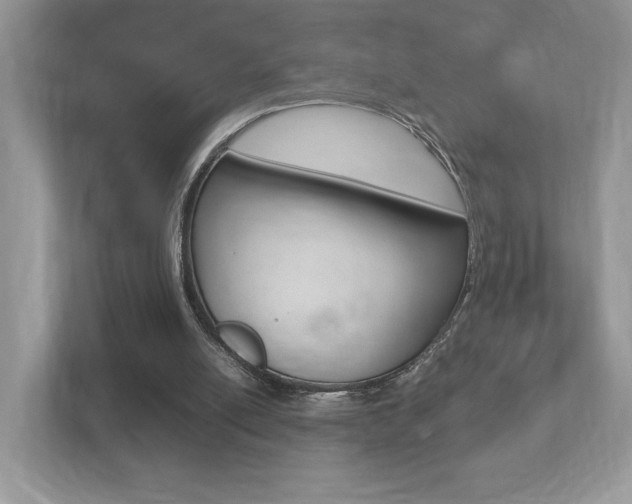 X0000112530054200908171153