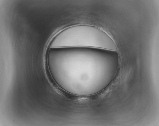 X0000112530055200908171153
